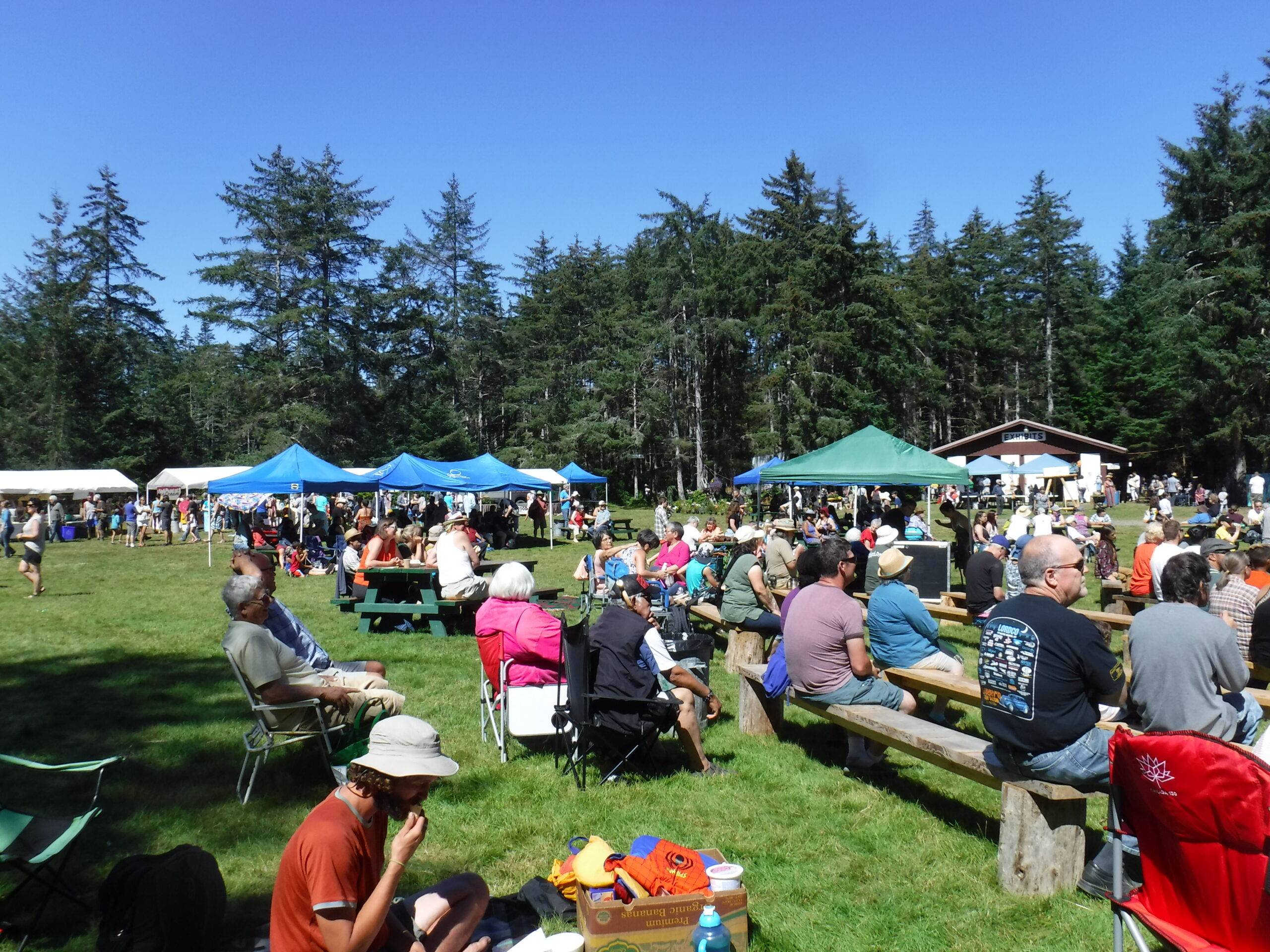 Tlell Fall Fair scene